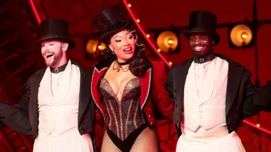 Megan Thee Stallion Hospitalized After Exiting 'Moulin Rouge!'