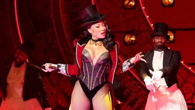 Megan Thee Stallion Shares Health Update After Hospitalization