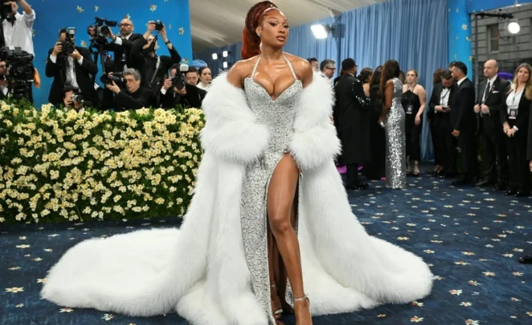 Megan Thee Stallion falls ill during Broadway show