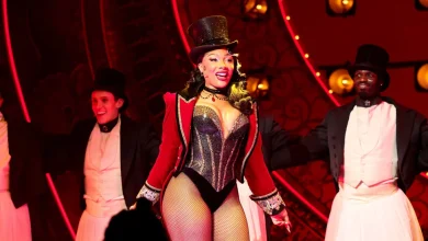 Megan Thee Stallion hospitalized during 'Moulin Rouge!' show on Broadway
