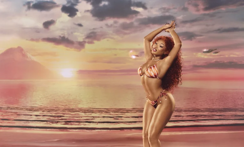 Megan Thee Stallion's Hot Girl Summer Brand Launches New Collection f/ Bikinis, Pet Wear, and More