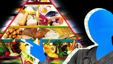 Meta’s New AI Asked for My Raw Health Data—and Gave Me Terrible Advice