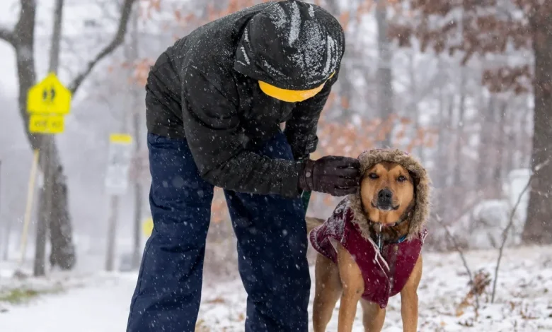 More than a dozen Wisconsin counties are under ice and winter storm warnings, NWS says
