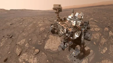 NASA’s Curiosity Finds Organic Molecules Never Seen Before on Mars