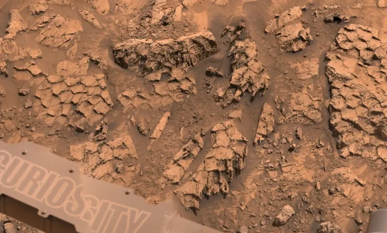 NASA's Mars Rover Comes Across Formation That Looks Like the Scales of a Massive Cosmic Reptile