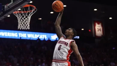 NCAA 2026: Michigan vs. Arizona Preview