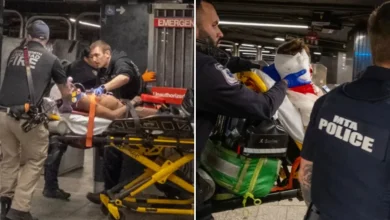 NYC cops shoot machete-wielding stabber at Grand Central Terminal, halting weekend trains