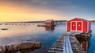 Newfoundland and Labrador invites over 240 candidates through its provincial immigration programs