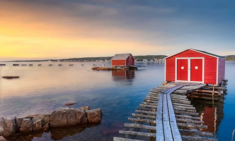 Newfoundland and Labrador invites over 240 candidates through its provincial immigration programs