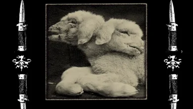 News | Eyehategod ramène son sludge moite à Paris en 2026