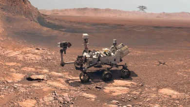 Nickel found on Mars could point to early organisms