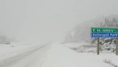 No April Fools: Snow, Ice Pellets and Freezing Rain to Hit Eastern Newfoundland