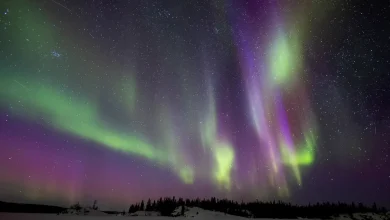 Northern lights will be most vibrant in these 18 states on April 16