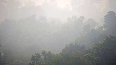 Notice the smoke? South Ga. wildfire pushes haze into CSRA