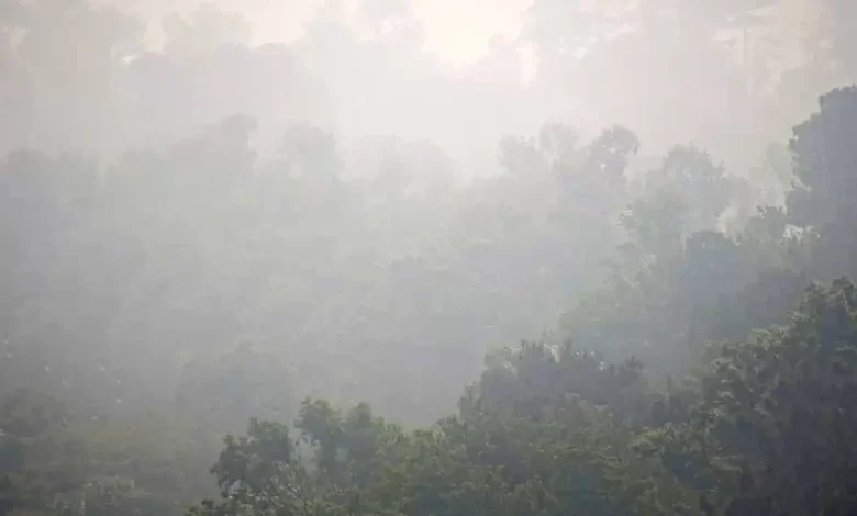 Notice the smoke? South Ga. wildfire pushes haze into CSRA