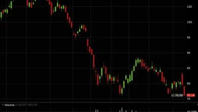 Now the stock market can get back to selling software stocks