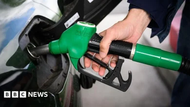 Oil prices plunge as Iran says Strait of Hormuz 'open' during ceasefire