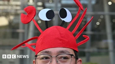 OpenClaw: What China's frenzy says about its AI ambition