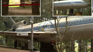 Oregon shooting at Hillsboro party in home made from Boeing jet