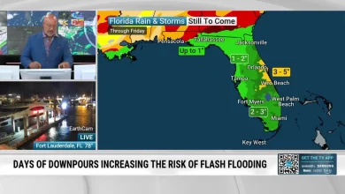 Parts Of Florida To See Rounds Of Rainfall This Week