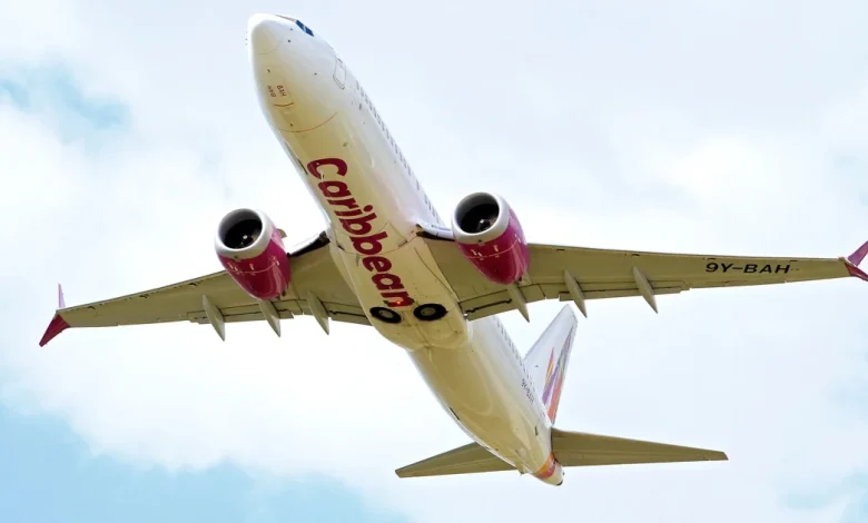 Passenger gives birth mid-air during flight to New York