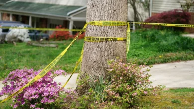 Patients and dental community mourn Dr. Cerina Fairfax, killed by Virginia ex-Lt. Gov. Fairfax
