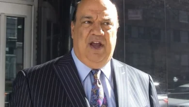 Paul Heyman Clarifies Brock Lesnar Retirement Remarks