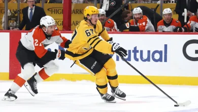 Penguins Have a New Enemy in Game 3