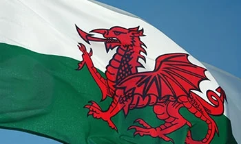 Plaid Cymru has slight lead over Reform UK in new Ipsos Wales Senedd poll, but half of voters may change mind