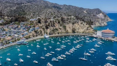 Plane crashes on Catalina; both aboard are killed, officials say