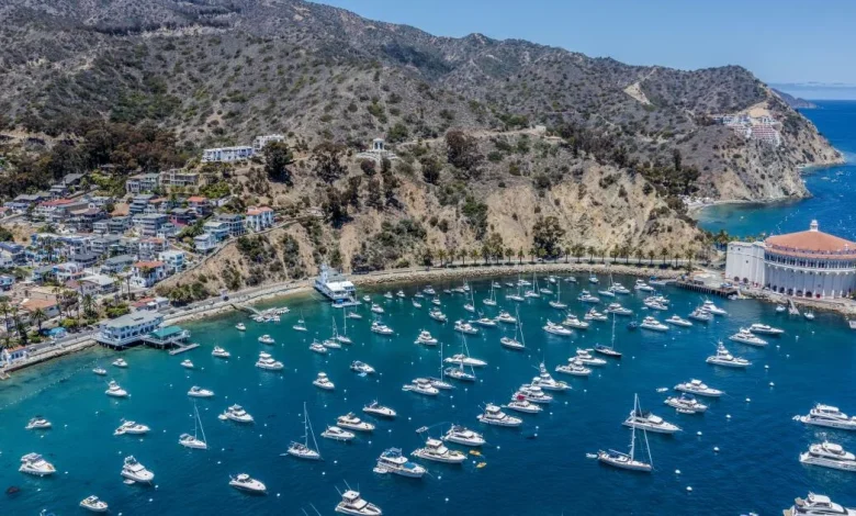 Plane crashes on Catalina; both aboard are killed, officials say