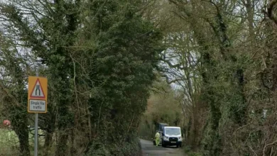 Police investigate after pile of human bones found in Bromley
