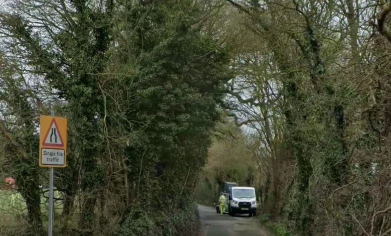 Police investigate after pile of human bones found in Bromley