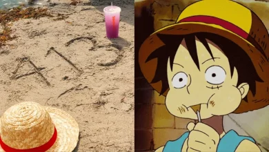 Popeyes ONE PIECE Meal Collab Is Coming