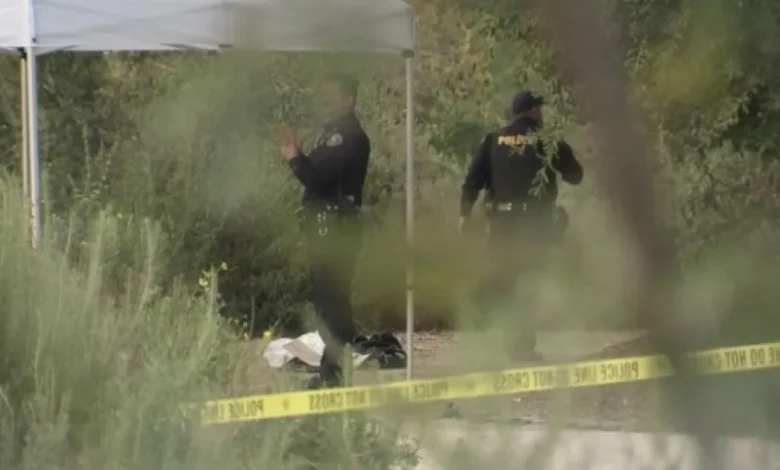 Possible human skull found during Easter egg hunt, police say