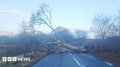 Power cuts and travel disruption after Storm Dave hits Scotland
