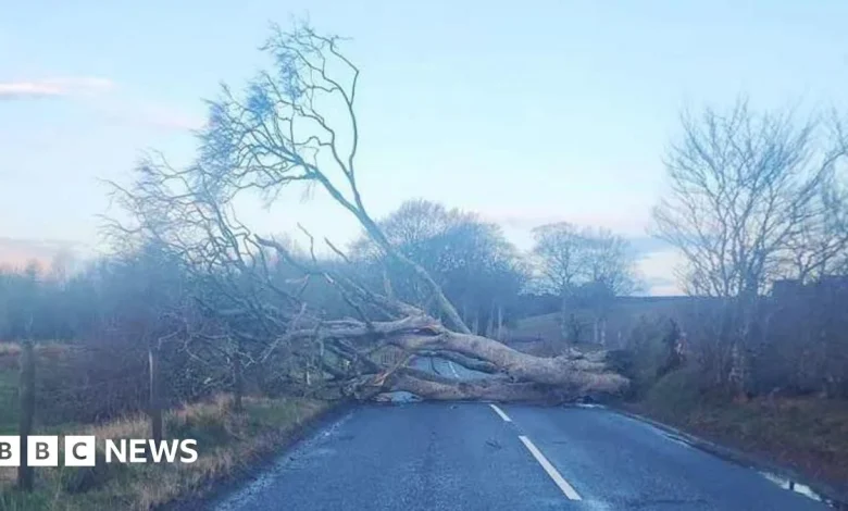 Power cuts and travel disruption after Storm Dave hits Scotland