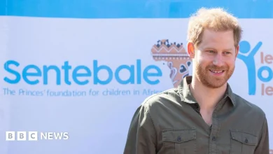 Prince Harry sued for defamation by charity Sentebale he co-founded