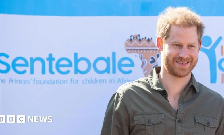 Prince Harry sued for defamation by charity Sentebale he co-founded