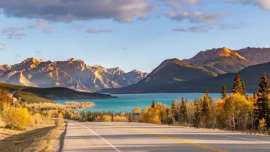 Provincial nominees receive invitations to apply for permanent residence