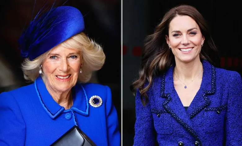 Queen Camilla and Kate Middleton’s royal battle over blue sparked palace tension: expert