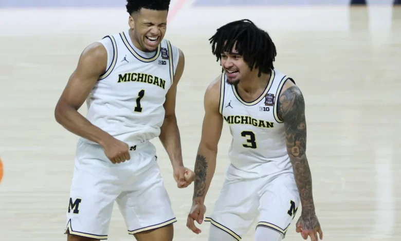 Ranking the positions of need for Michigan Basketball in the transfer portal