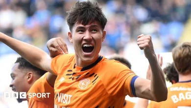 Reading 1-3 Cardiff City: Bluebirds seal dramatic promotion