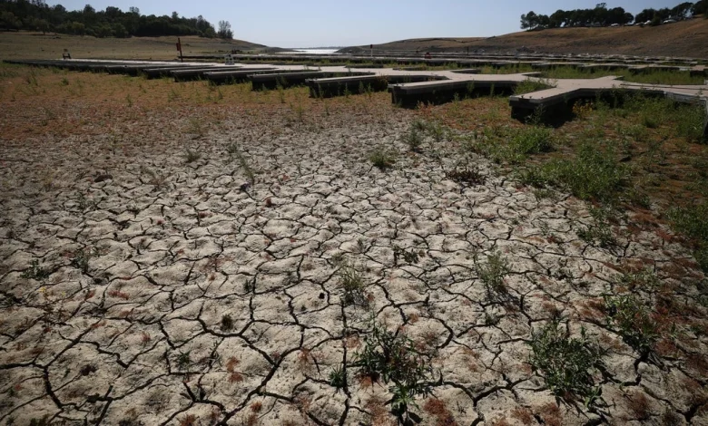 Record U.S. drought sparks fears about wildfires, water supply and food prices