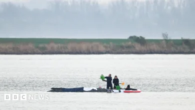Rescuers to use air cushions in latest effort to save stranded whale