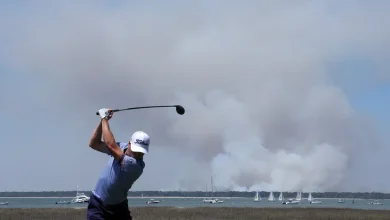 Rory McIlroy skips RBC Heritage but top golfers are in signature event