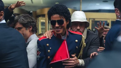 Rotten Tomatoes Critics Rank Top 10 Pop Music Biopics