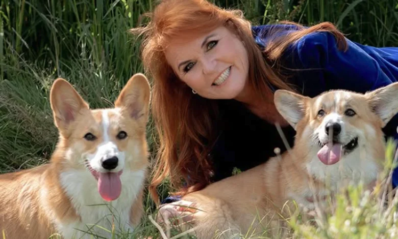 Sarah Ferguson 'Corgi Cloning' Rumours Explained: The 'Crass' Reality Show Pitch That Appalled Royals