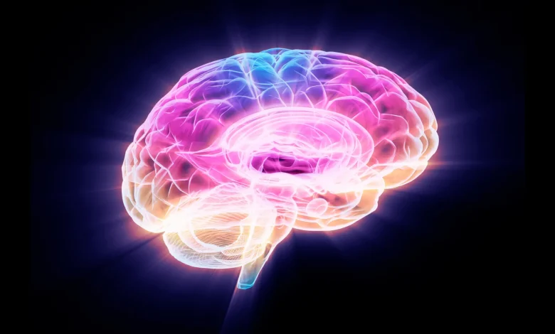 Scientists found a protein that drives brain aging — and how to stop it