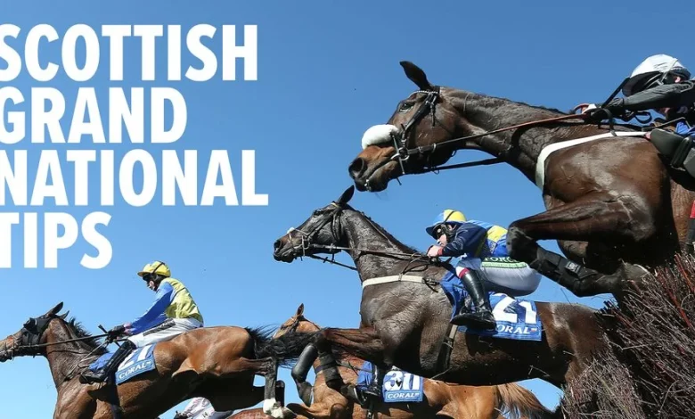Scottish Grand National predictions & tips: why this horse can win